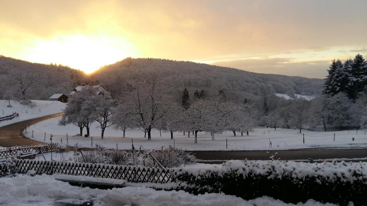 Landgasthof Gruener Baum Badenweiler Buitenkant foto